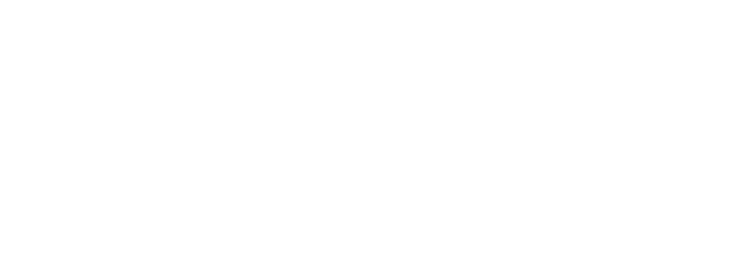 SOUL PHYGITAL